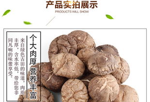福建特產(chǎn) 富農(nóng)園香菇208g 特級冬菇中的健康休閑美食