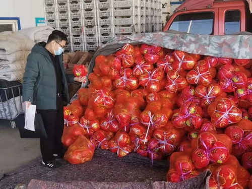 衡水食用農(nóng)產(chǎn)品批發(fā)市場 打造京津冀優(yōu)質(zhì)“菜籃子”