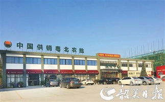 中國供銷農(nóng)產(chǎn)品批發(fā)市場(chǎng)控股 構(gòu)建現(xiàn)代化食用農(nóng)產(chǎn)品流通新格局